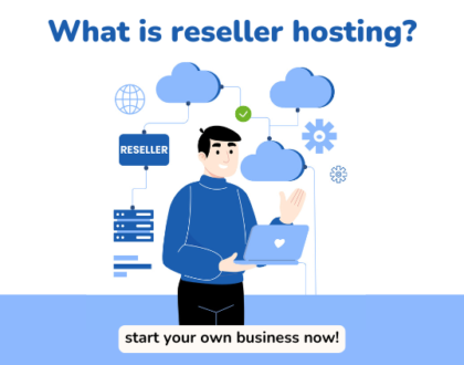 What is Reseller Hosting?